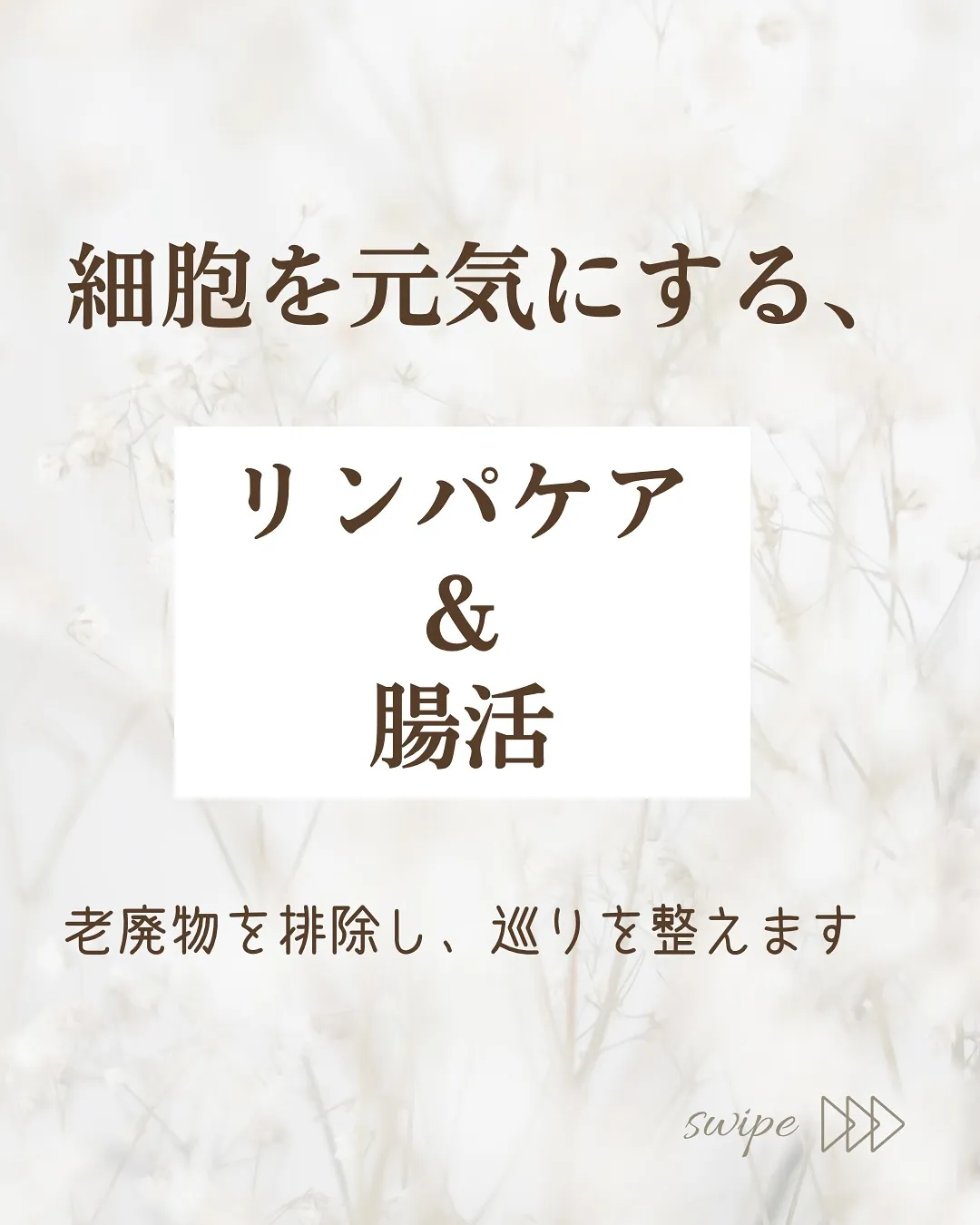 【若さ、美しさは