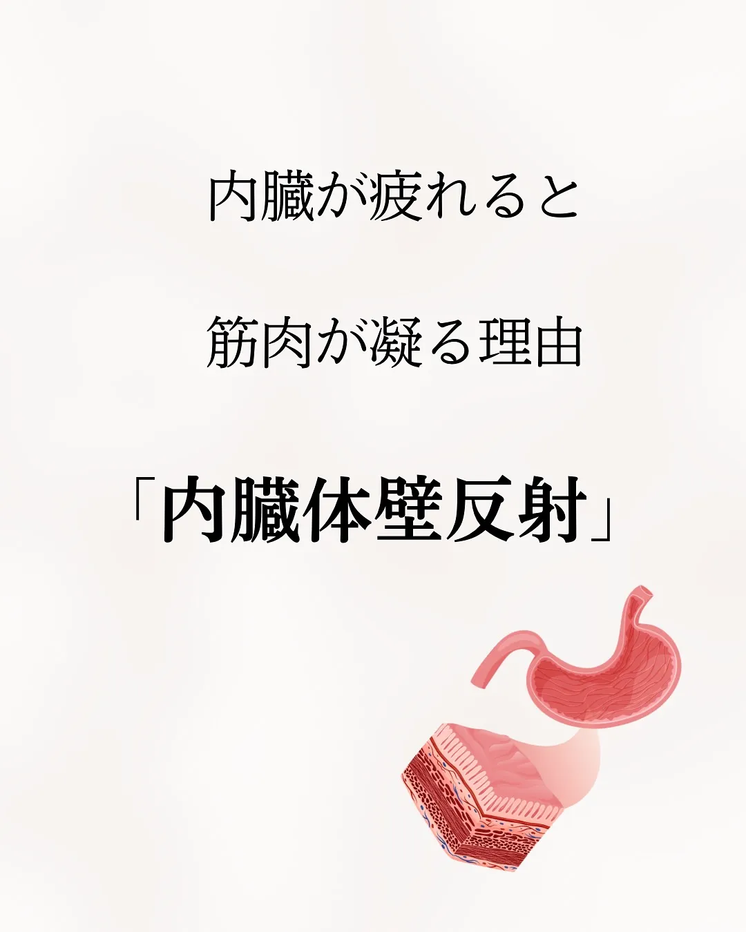 【その肩こり、腰痛、内臓が原因かも！】